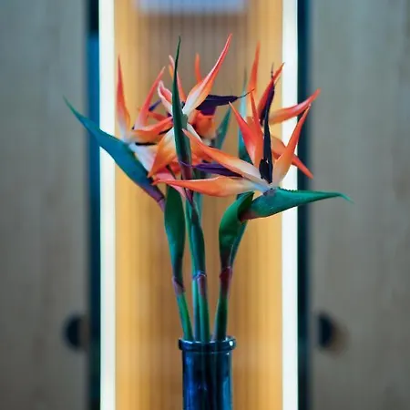 Aparthotel Capital Luxury Nauplion