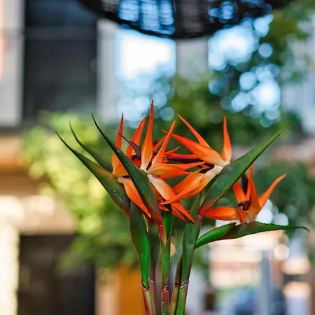 Capital Luxury Apartahotel Nauplia