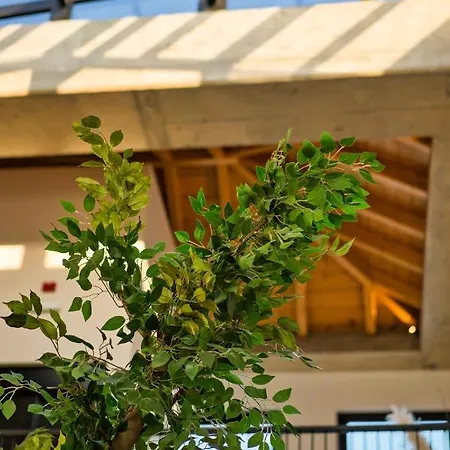 Capital Luxury Apartahotel 4*