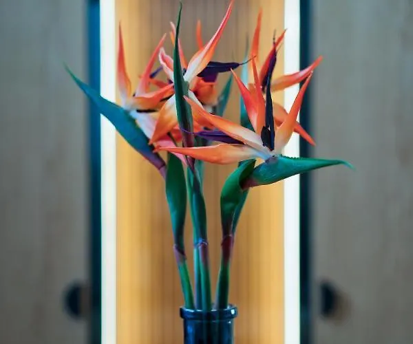 Апарт-отель Capital Luxury Нафплион